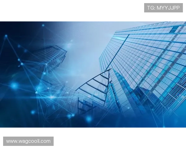 九游j9集团最新动态与发展趋势全面解析